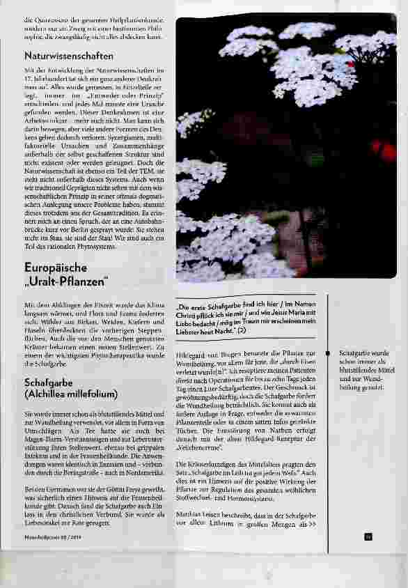 Vorschauseite 2: Phytotherapie in der TEM