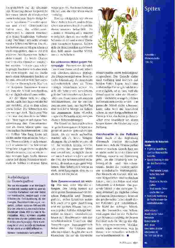 Vorschauseite 2: Ganzheitliche Sichtweise