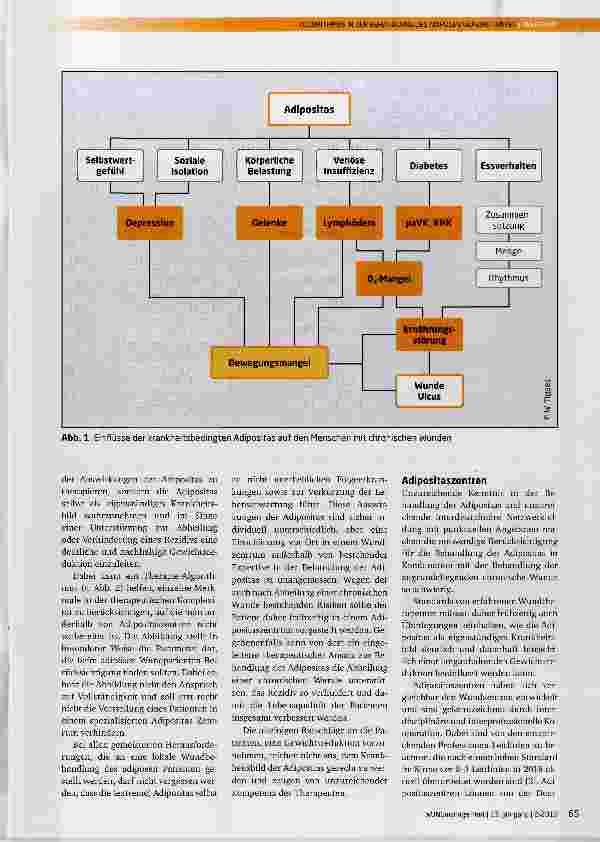 Vorschauseite 3: Algorithmus in der Behandlung des adipösen Wundpatienten