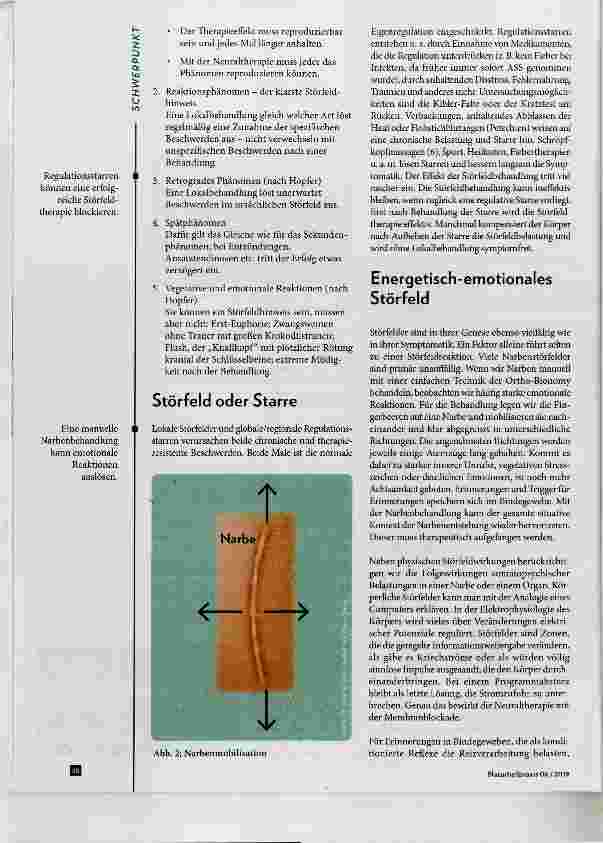 Vorschauseite 3: Störfelder und Herde