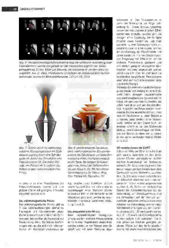Vorschauseite 3: Die extrakorporale Stoßwellentherapie als neue Methode zur Stimulation der Heilung komplexer Wunden: eine Übersicht