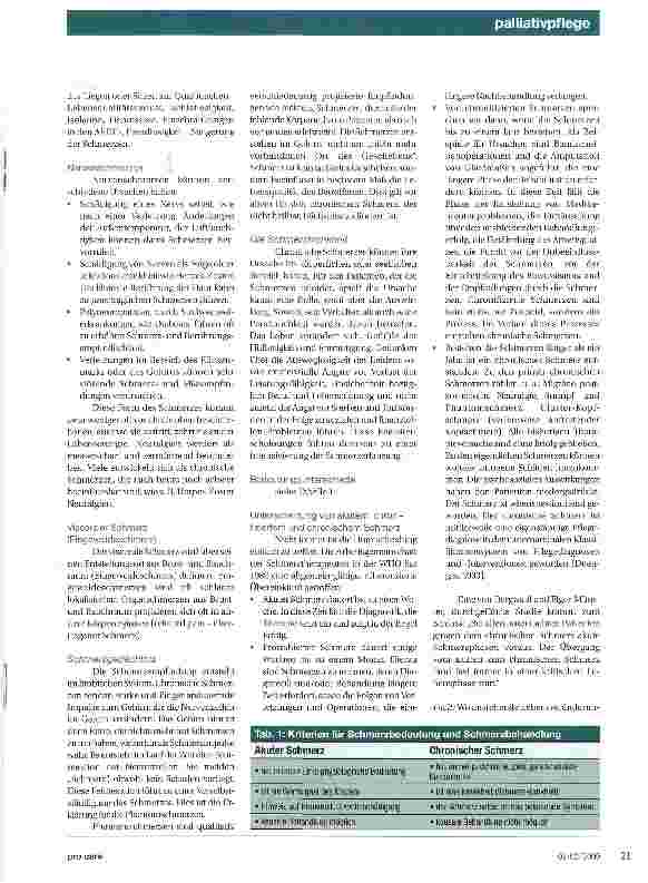 Vorschauseite 2: Der Umgang mit Schmerzzuständen des Patienten