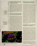 Vorschauseite 3: Phytotherapie bei Hypothyreose