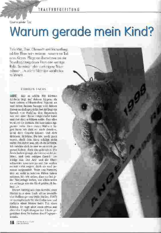 Vorschauseite 1: Warum gerade mein Kind? Unerwarteter Tod