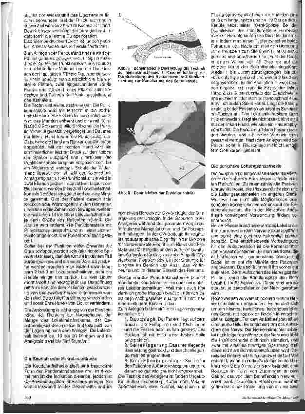Vorschauseite 3: Die rückenmarksnahen und peripheren Leitungsanästhesien Regionalanästhesie und Schmerztherapie - 3. Folge