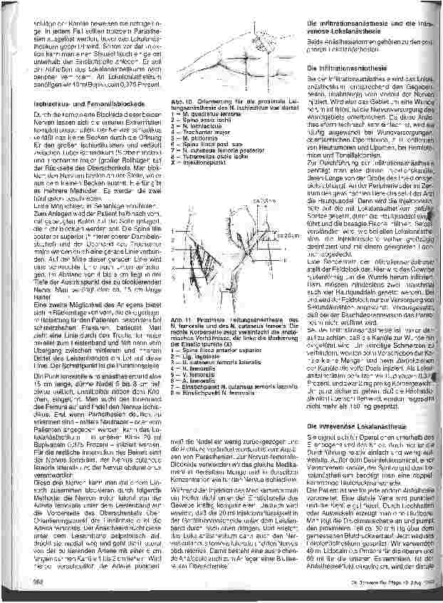 Vorschauseite 5: Die rückenmarksnahen und peripheren Leitungsanästhesien Regionalanästhesie und Schmerztherapie - 3. Folge