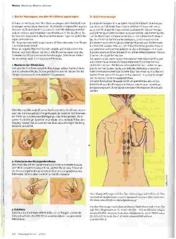 Vorschauseite 5: Milchstau - Mastitis - Mammaabszess