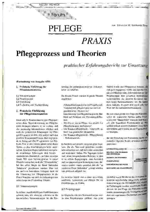 Vorschauseite 1: Pflegeprozess und Theorien Praktischer Erfahrungsbericht zur Umsetzung
