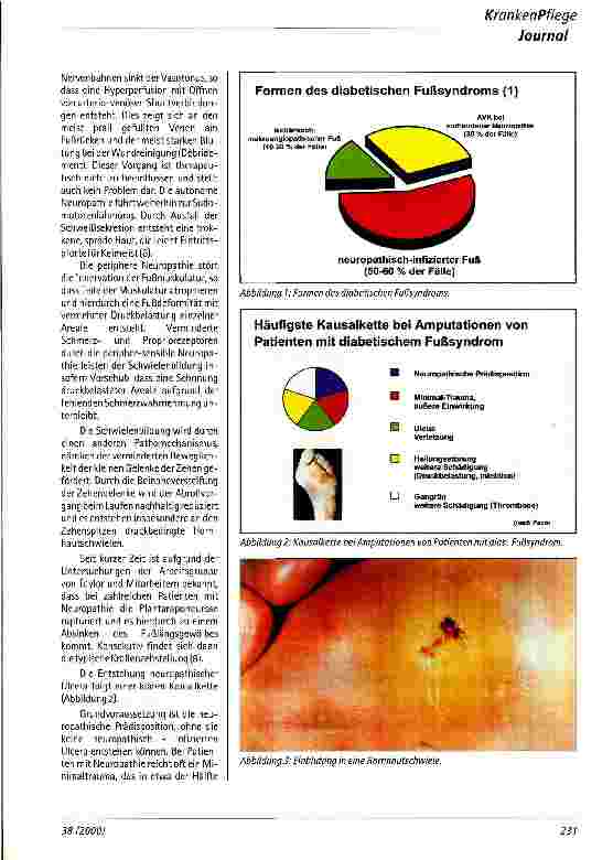Vorschauseite 2: Das diabetische Fußsyndrom