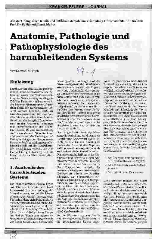 Vorschauseite 1: Anatomie, Pathologie und Pathophysiologie des harnableitenden Systems