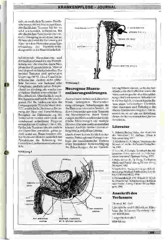 Vorschauseite 4: Anatomie, Pathologie und Pathophysiologie des harnableitenden Systems