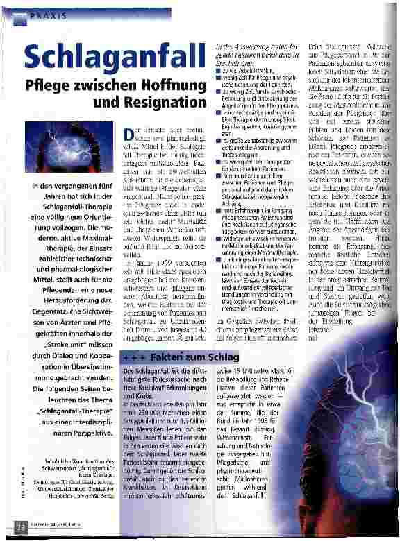 Vorschauseite 1: Schlaganfall Pflege zwischen Hoffnung und Resignation