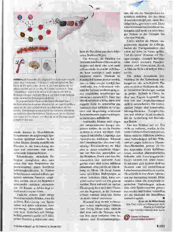 Vorschauseite 3: Fieberhafte Suche nach einem Impfstoff