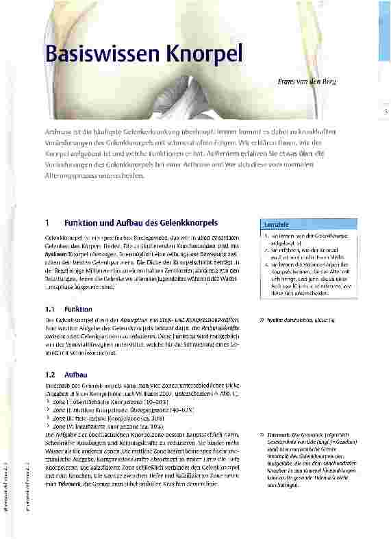 Vorschauseite 1: Basiswissen Knorpel