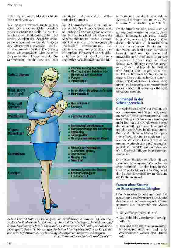 Vorschauseite 2: Die Problematik der Jodidprophylaxe bei Frauen, Schwangeren und Stillenden