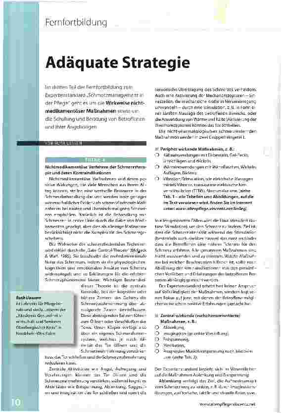 Vorschauseite 1: Adäquate Strategie