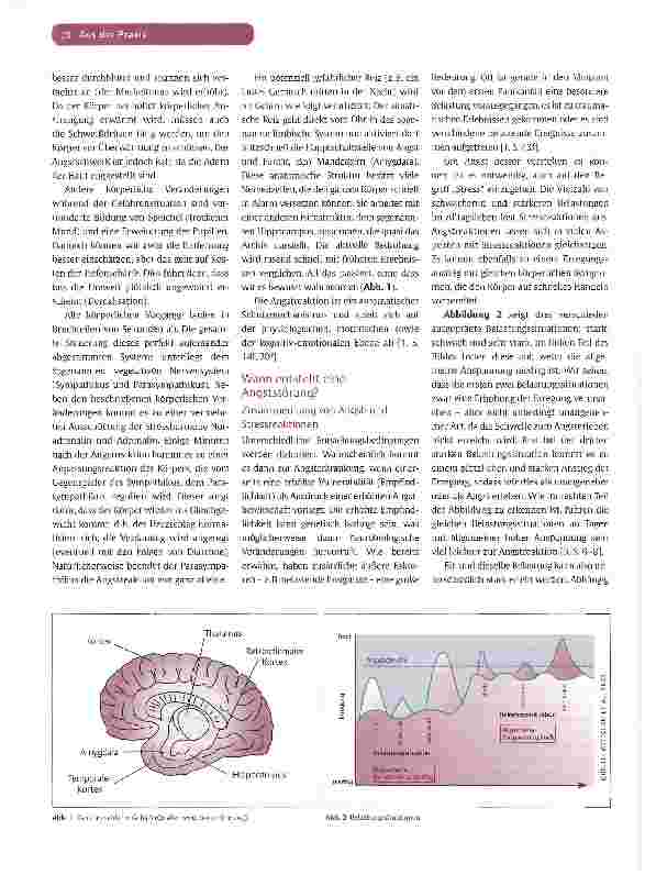 Vorschauseite 3: ANGSTERKRANKUNGENExpositionstraining bei Agoraphobie mit Panikstörung