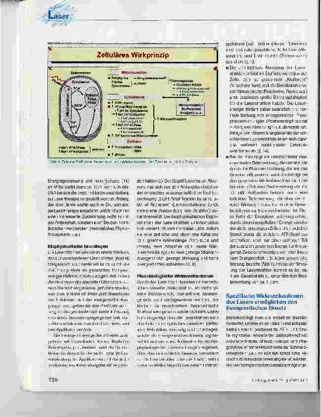 Vorschauseite 2: Laserstrahlen heilen in der Physiotherapie
