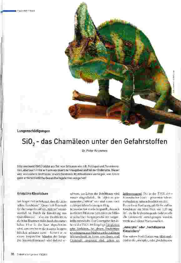 Vorschauseite 1: SiO2 - das Chamäleon unter den Gefahrstoffen