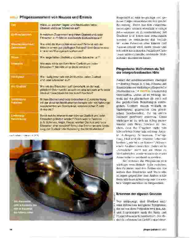 Vorschauseite 4: Pflegerische Interventionen