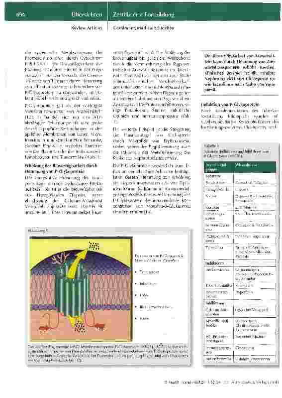 Vorschauseite 3: Arzneimittelinteraktionen Grundsätze und intensivmedizinische Aspekte