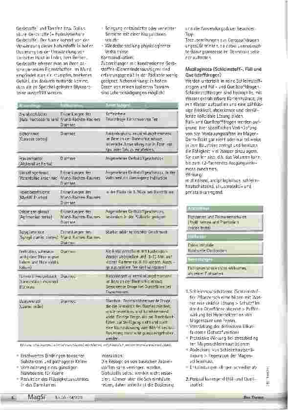 Vorschauseite 3: Was ist die moderne Phytotherapie?