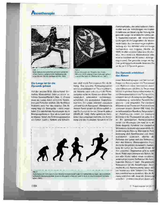 Vorschauseite 2: Spiraldynamik®: Dreidimensionale Atemtherapie