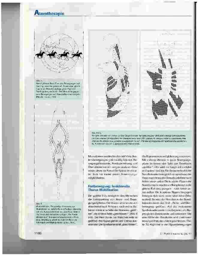 Vorschauseite 4: Spiraldynamik®: Dreidimensionale Atemtherapie