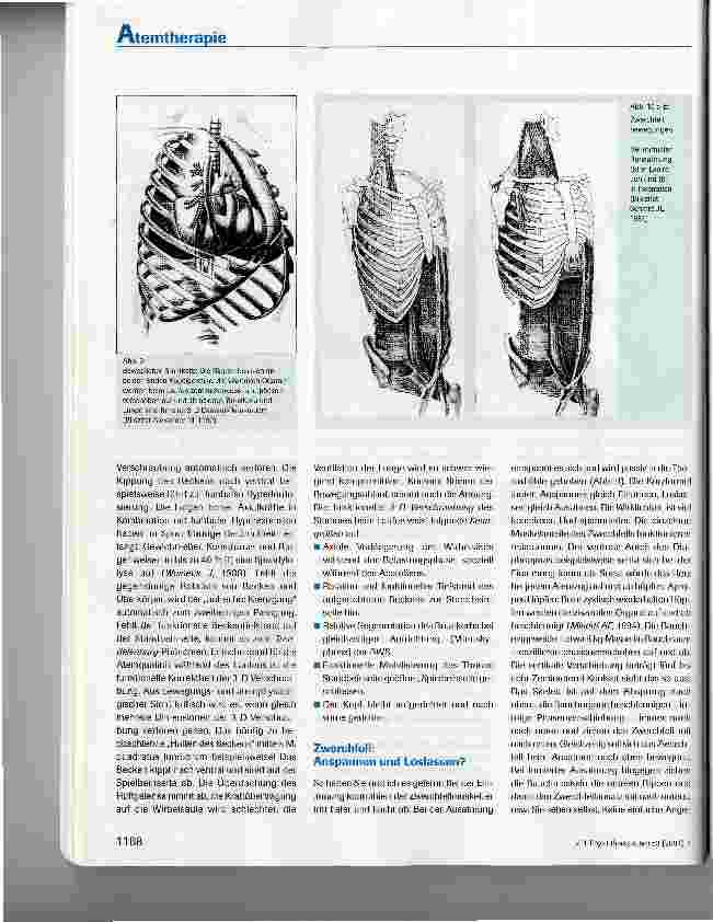 Vorschauseite 6: Spiraldynamik®: Dreidimensionale Atemtherapie