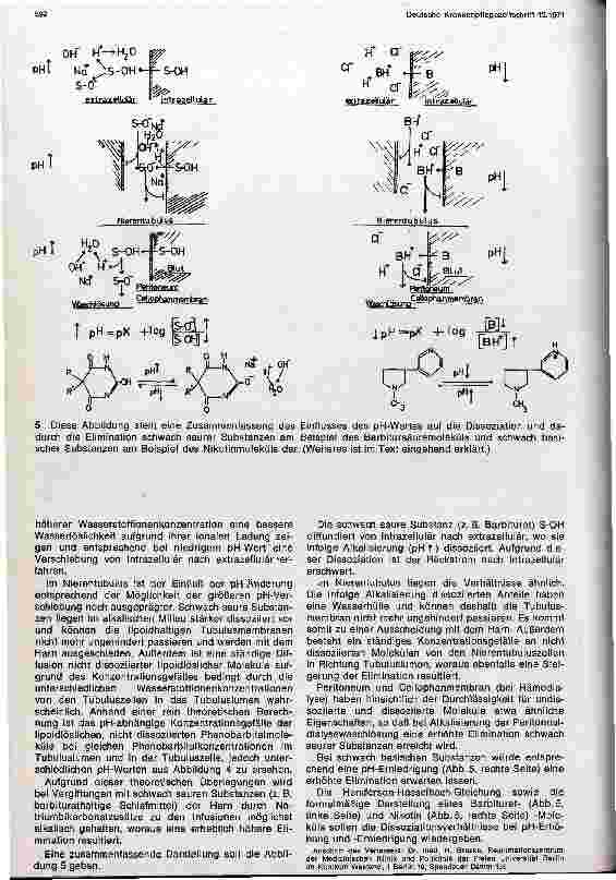 Vorschauseite 4: Theoretische Grundlagen der Maßnahmen zur Steigerung der renalen Elimination
