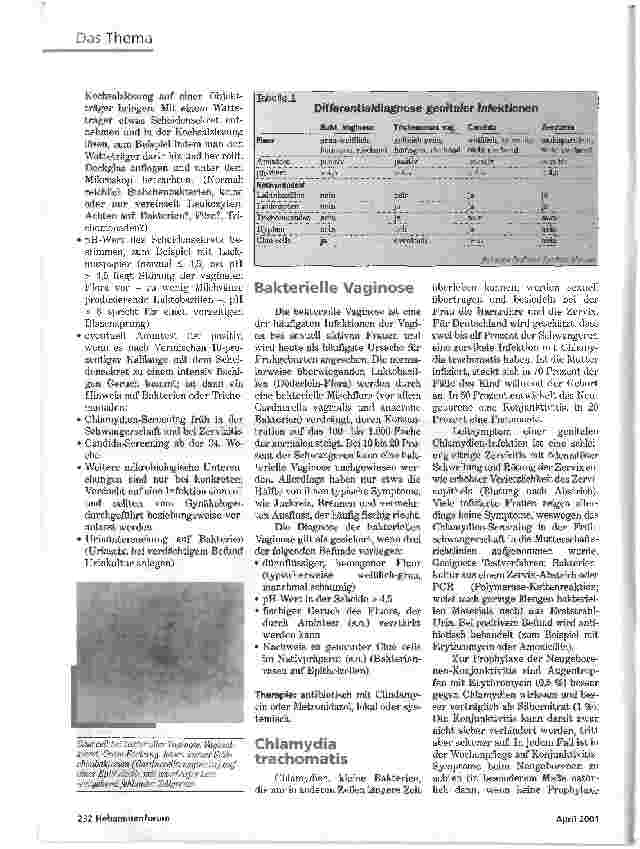Vorschauseite 3: INFEKTIONENIN DER SCHWANGERSCHAFT UND BEIM NEUGEBORENEN - EINE ÜBERSICHT (TEIL I)