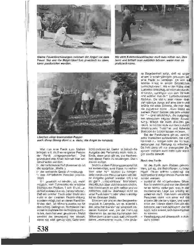 Vorschauseite 3: Panikverhalten bei Feuer