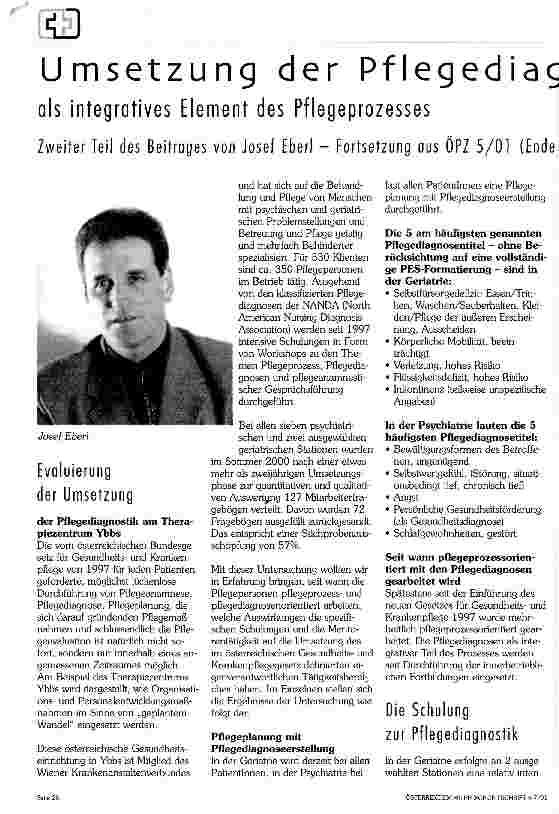 Vorschauseite 1: Umsetzung der Pflegediagnosen