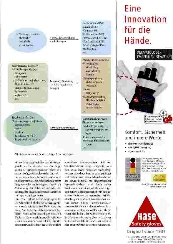 Vorschauseite 6: Handschutz Im Visier