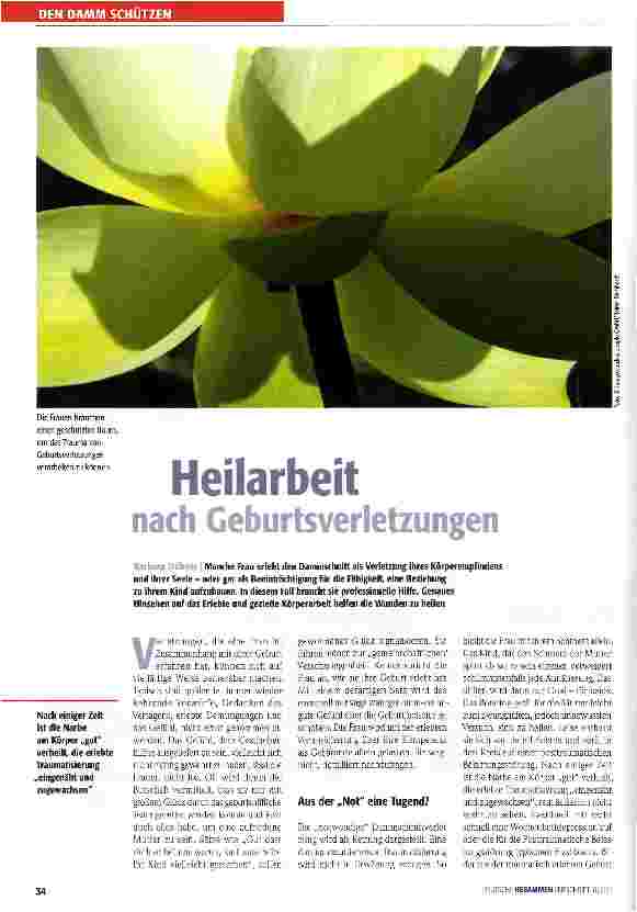 Vorschauseite 1: Heilarbeit nach Geburtsverletzungen