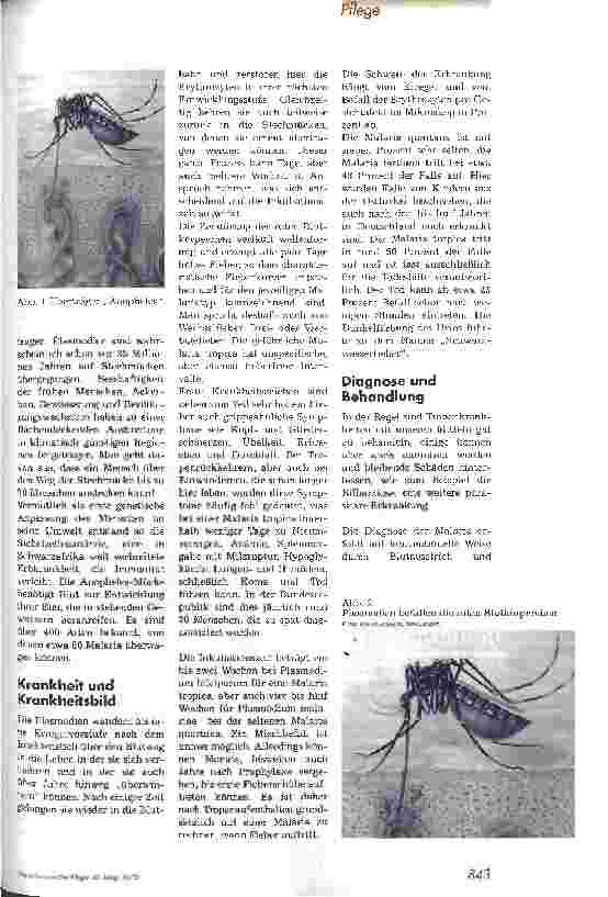Vorschauseite 2: Malaria - eine Weltkrankheit Exotische Pflege