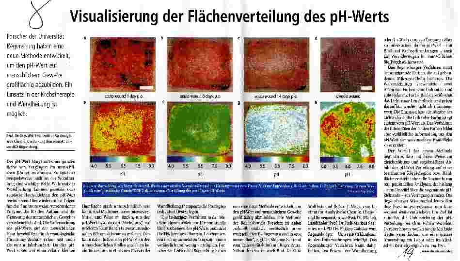 Vorschauseite 1: Visualisierung der Flächenverteilung
