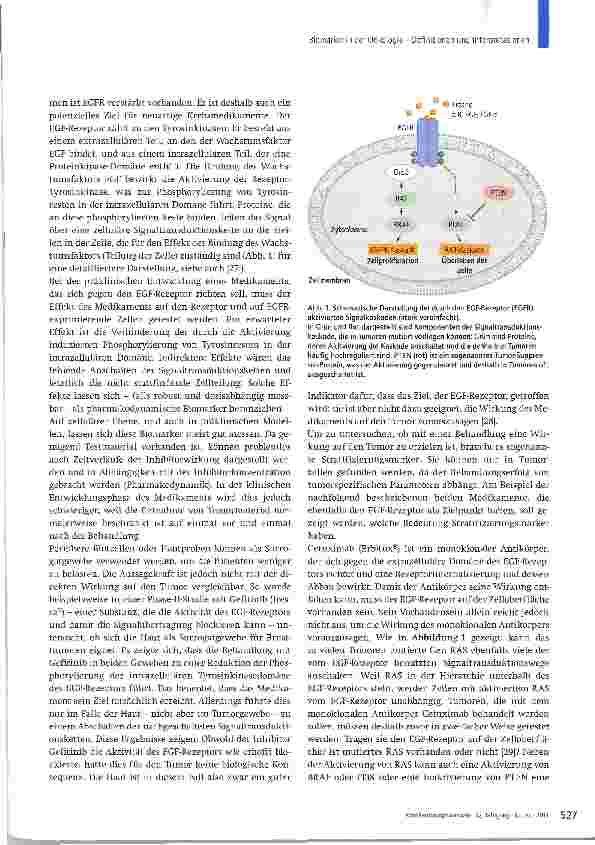 Vorschauseite 5: Biomarker in der Onkologie -Definitionen und Interpretationen