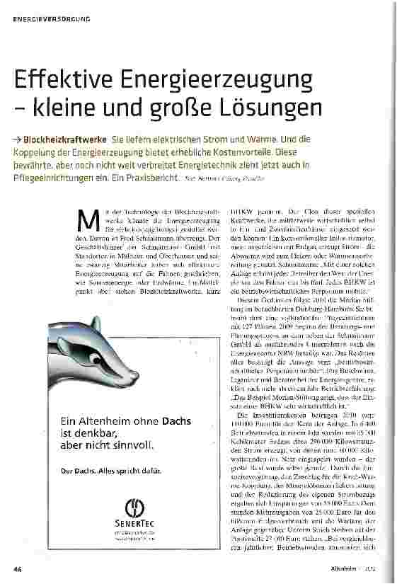 Vorschauseite 1: Effektive Energieerzeugung - kleine und große Lösungen