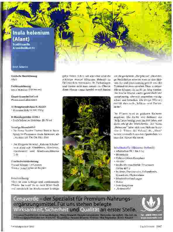 Vorschauseite 1: Inula helenium