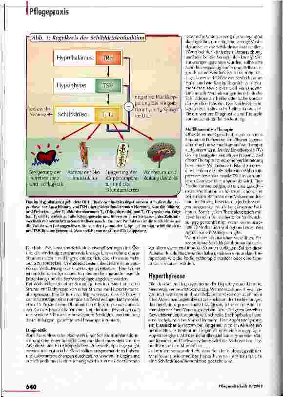 Vorschauseite 2: Versteckte Symptome