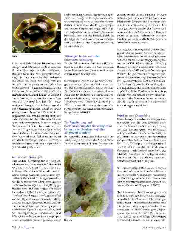 Vorschauseite 2: Fibromyalgie- Der Körper als Feind