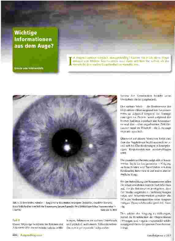 Vorschauseite 1: Wichtige Informationen aus dem Auge?