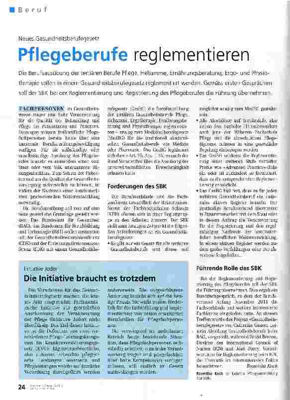 Vorschauseite 1: Pflegeberufe reglementieren