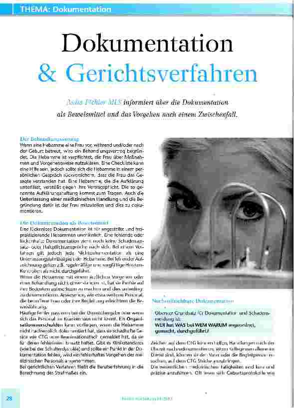Vorschauseite 1: Dokumentation & Gerichtsverfahren