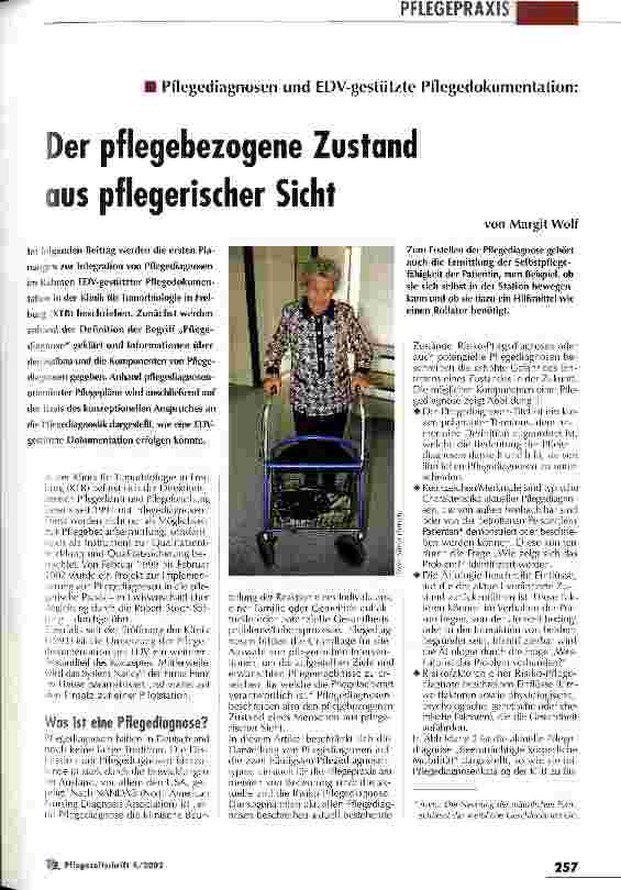 Vorschauseite 1: Der pflegebezogene Zustand aus pflegerischer Sicht