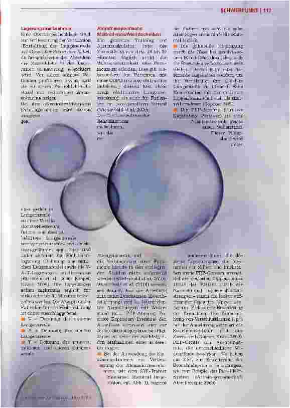 Vorschauseite 2: Pneumonieprophylaxe wissenschaftlich untersucht