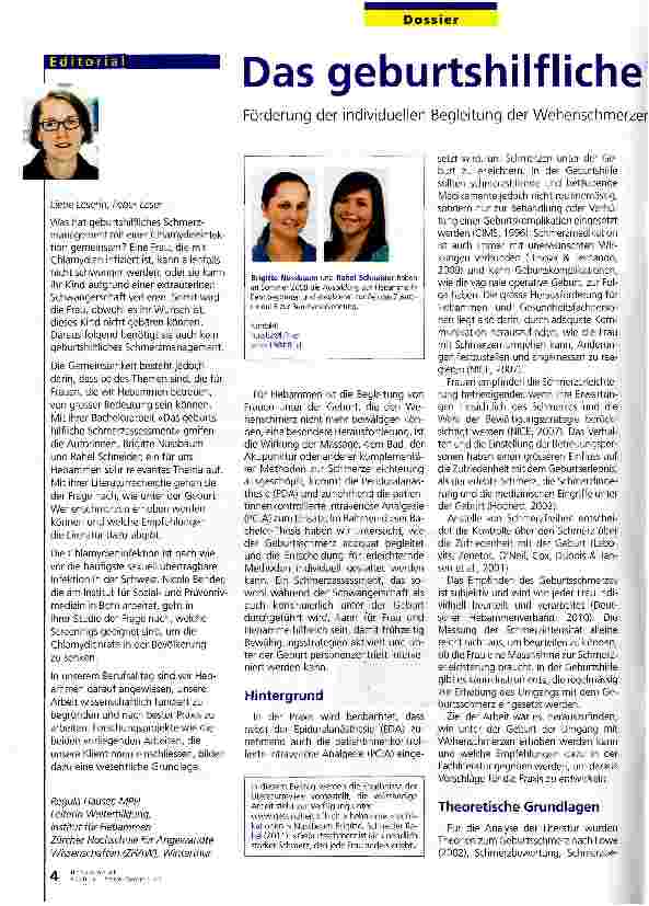 Vorschauseite 1: Das geburtshilfliche Schmerzassessment
