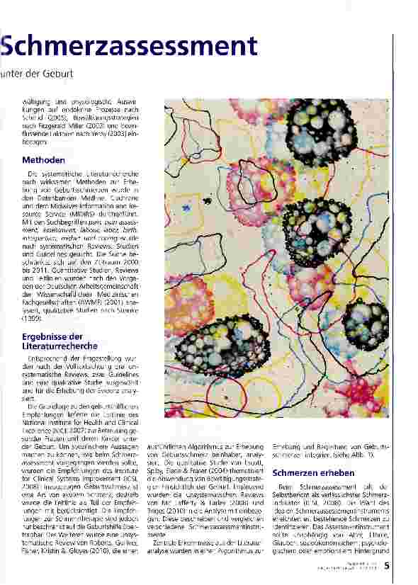 Vorschauseite 2: Das geburtshilfliche Schmerzassessment