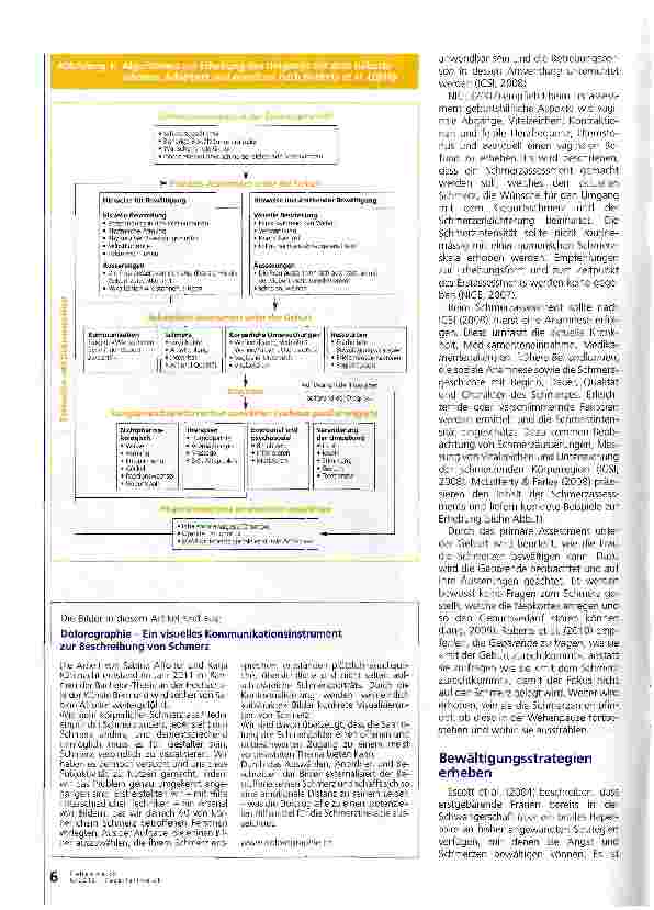 Vorschauseite 3: Das geburtshilfliche Schmerzassessment